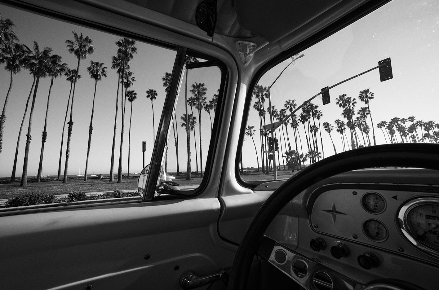 PCH Palms